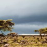 Workshop "África minha" (tela panorâmica)