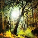 Workshop "Entre os raios de sol"